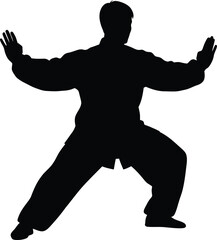 Silhouette of a person practicing tai chi or a similar martial art