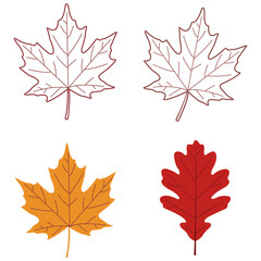 Fototapeta premium Autumn Leaves Collection Four detailed illustrations of fall foliage in warm autumn tones, showcasing the intricate veins and unique shapes of maple and oak leaves, embodying the season's change.