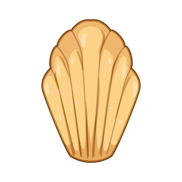 Madeleine cookie is a classic french buttery sponge pastry, featuring distinctive shell shape ridges, representing gourmet dessert and traditional european baking