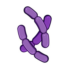 Lactobacillus bacteria illustrating concepts of probiotics and gut health, representing beneficial microorganisms vital for the human microbiome and digestive well being