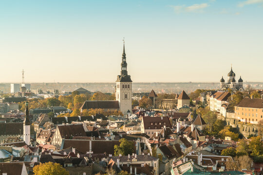 View of aged rooftops and spires of cathedrals and churches under a serene sky, a timeless cityscape evoking history, Tallinn, Harju County, Estonia.