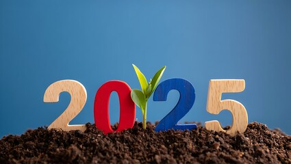 Wooden numbers 2025 with a small green sprout growing from the soil, symbolizing new beginnings.
