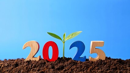 New year 2025 growth concept with seedling sprouting from soil against blue sky