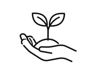 A hand gently holding a green plant symbolizing growth and care for nature