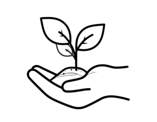 Hand holding a growing green plant symbolizing care for nature