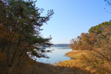 Obraz premium A forest covered with bushes with a wide view of the river on a clear autumn day