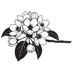 Stunning black and white floral illustration of blooming flowers