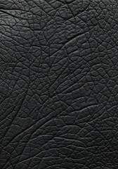 黒革の深淵 (Kokkaku no Shin'en)