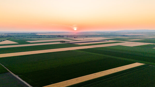 Aerial view of patterned fields bathed in the warm glow of the setting sun, painting the landscape with hues of gold and green, Novi Sad, Vojvodina, Serbia.