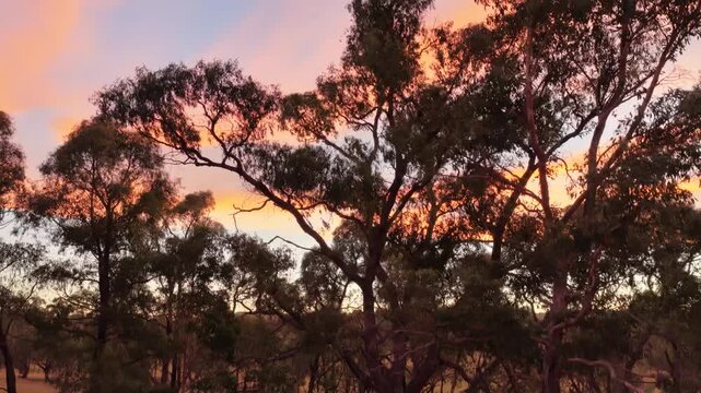 Airial Beautiful sunset up trees and into rural farmland