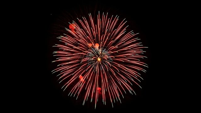 Isolated single firework bloom captured mid-explosion, minimal composition
