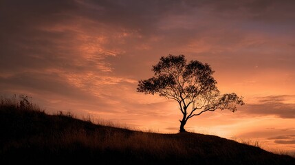 Silhouette of a lone tree on a hill against a vibrant sunset sky