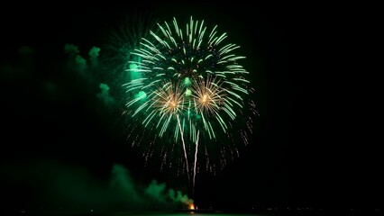 Glowing green fireworks against a pitch-black sky