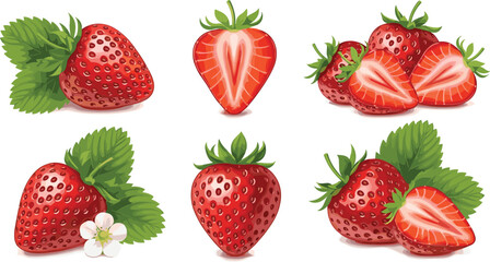 Set of Realistic Fresh Red Strawberries with Green Leaves and White Flower Including Whole Fruit and Slices for Food and Dessert Design
