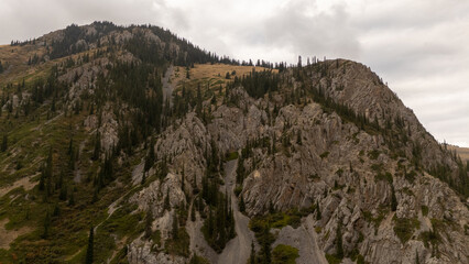 Rugged mountain landscape with rocky outcrops and scattered coniferous trees under overcast sky © Михаил Уванов