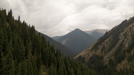 Mountainous landscape covered with dense coniferous forests under overcast sky © Михаил Уванов