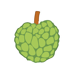 Custard apple fruit illustration representing healthy eating, organic food, and natural sweetness, ideal for concepts of exotic produce, tropical flavors, and vegetarian nutrition