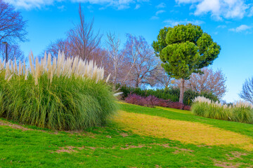 Parque Juan Carlos I de Madrid