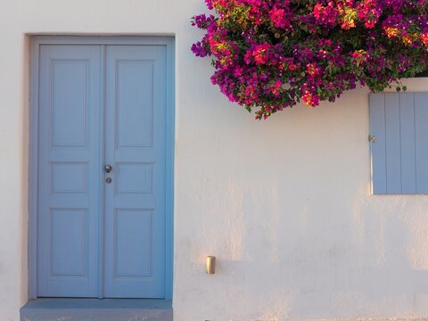View of a rustic blue door and shuttered window frame set against a stark white wall adorned with vibrant pink bougainvillea, Oia, Thira, Greece.