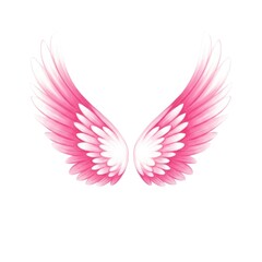 Pair of Pink Feathered Wings in Symmetrical Design.