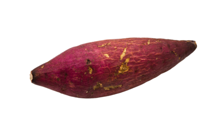 さつまいも 単体のクローズアップ（背景透過）