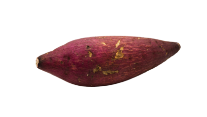 さつまいも 単体のクローズアップ（背景透過）