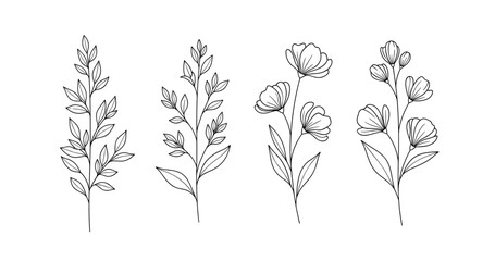 Hand-drawn floral botanical illustration with detailed leaves and flowers