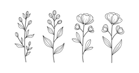 Minimalist botanical line art: elegant floral stems in black and white