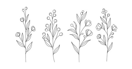 Minimalistic botanical line art of various flower stems on white background