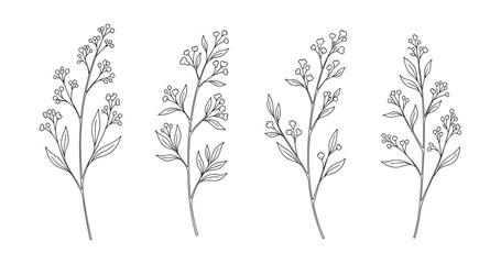 Fototapeta premium Elegant botanical illustrations of delicate plant stems with leaves and buds