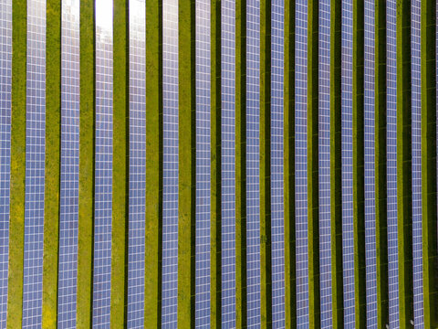 Aerial view of rows of solar panels gleam amidst the green landscape, a testament to clean energy's promise for a brighter future, Perth, Scotland, United Kingdom.