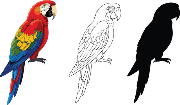 Red macaw parrot vector illustration set including full color character and black line art with solid silhouette shape.