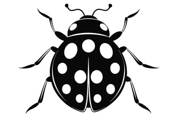 ladybug silhouette line art vector illustration with a white background © pipp99