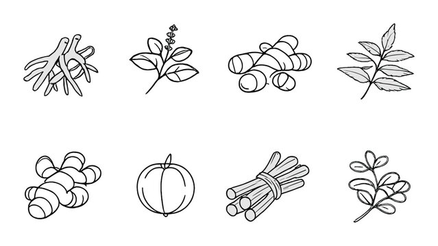 Illustrations of various herbs and plants used in herbal medicine