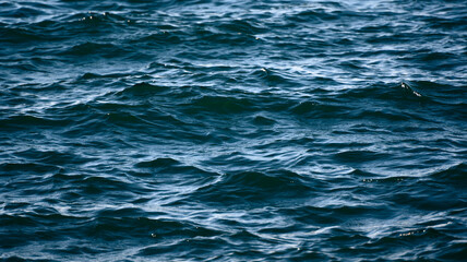 Calm blue sea surface with gentle ripples.