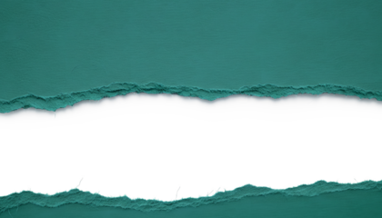 Teal ripped paper background with a textured edge creating a blank space for content