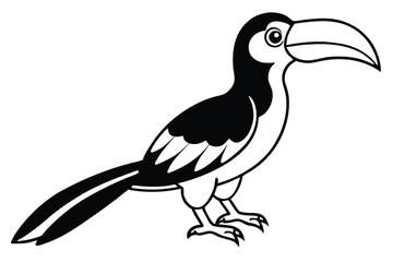 hornbill silhouette line art vector illustration with a white background © pipp99