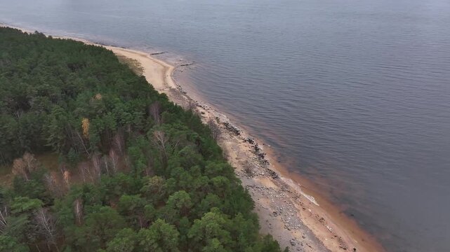 Aerial view of pine woodland meeting a narrow sandy shore with boulders and weathered wooden groynes by a grey sea. Drone pans north under overcast late autumn light.