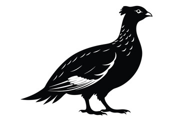 Obraz premium grouse silhouette line art vector illustration with a white background