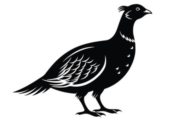 Fototapeta premium grouse silhouette line art vector illustration with a white background