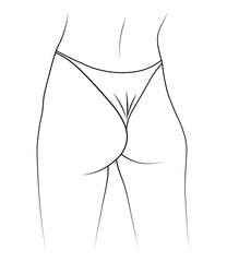 vector illustration butt woman