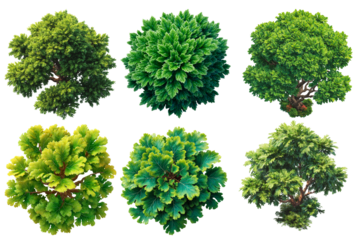 Top of view tree photo set with transparent background