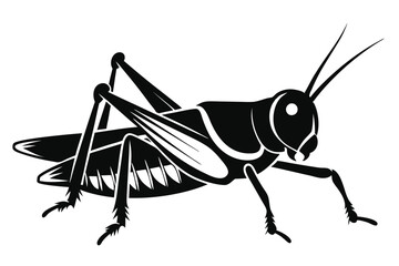 grasshopper silhouette line art vector illustration with a white background