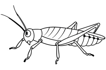 grasshopper silhouette line art vector illustration with a white background
