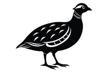 Obraz premium francolin silhouette line art vector illustration with a white background