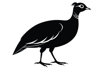 Obraz premium francolin silhouette line art vector illustration with a white background