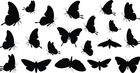Fototapeta premium Collection of butterfly and moth silhouettes in various flying and resting positions, black shapes, insect wings, nature, wildlife, delicate insects