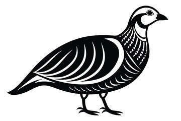 chukar silhouette line art vector illustration with a white background