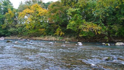 紅葉の中を流れる清流