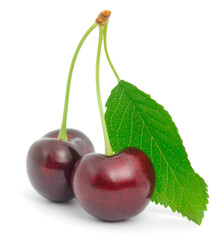 Two ripe dark red cherries with leaf isolated on white